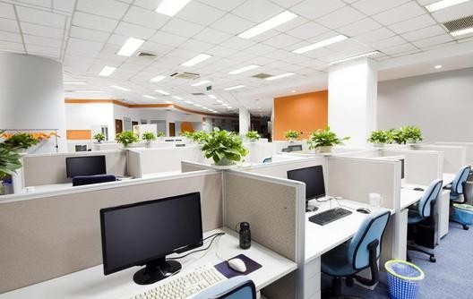 辦公室辦公桌上的植物如果凋謝或生病了怎么辦？