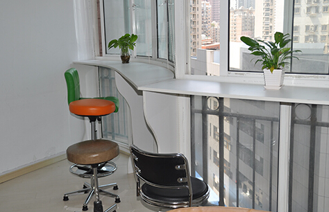 辦公桌植物的風(fēng)水?dāng)[放之圓葉植物