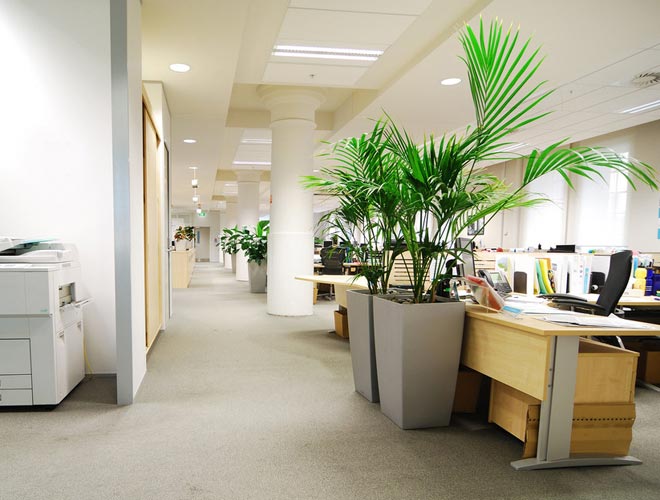 公司辦公空間設(shè)計(jì)的依據(jù)是什么？—